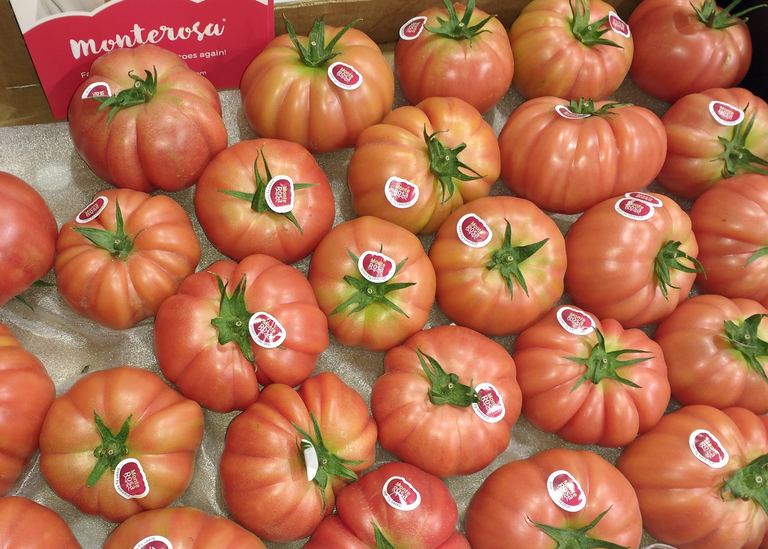 Geribde roze tomaat jaarrond op Europese markt