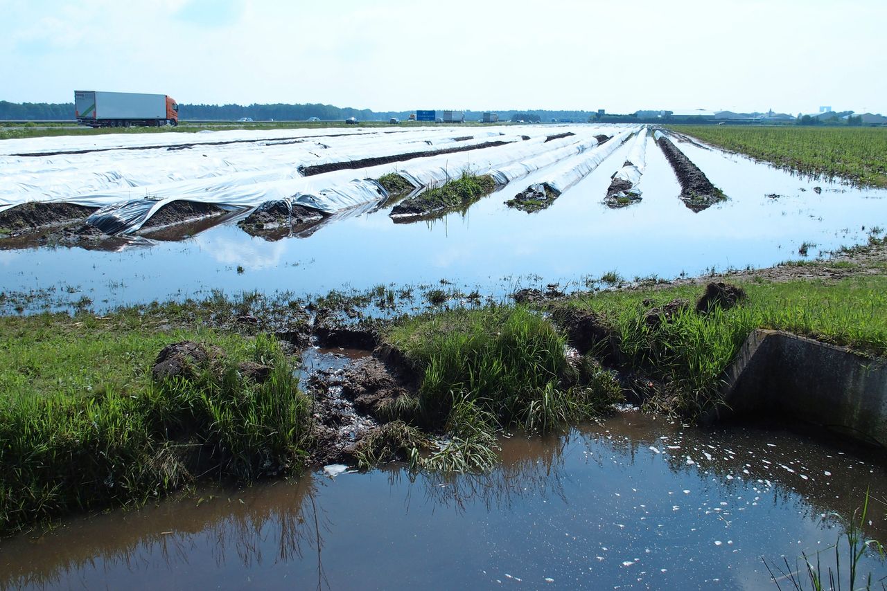 Op 2 mei viel op een deel van de percelen van Martens Asperges 62 millimeter water in een paar uur tijd. – Foto: Stan Verstegen