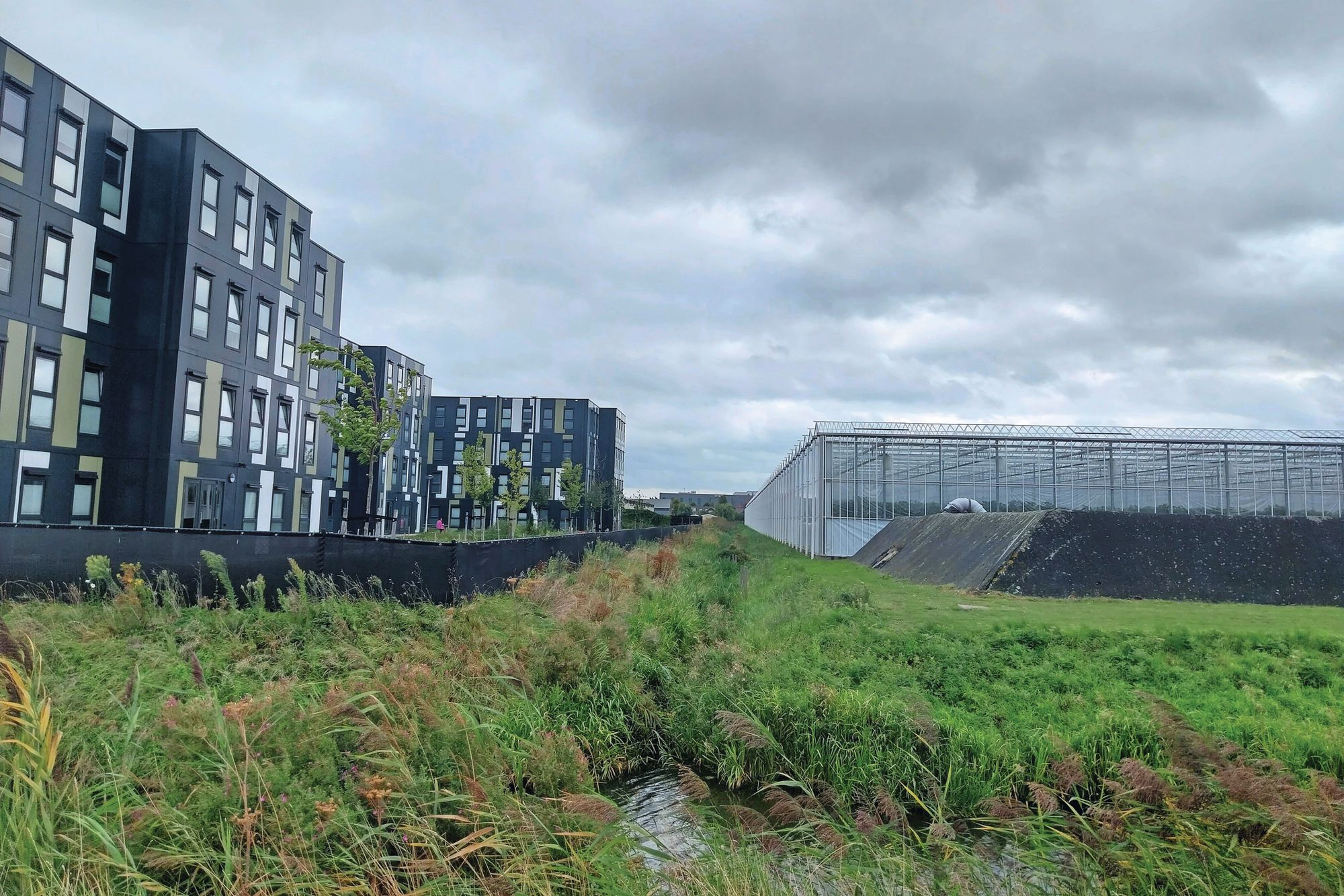 Arbeidsmigrantenhuisvesting in Bleiswijk. Foto: Ton van der Scheer