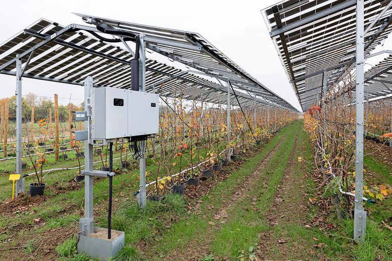 Zon en wind leveren soms negatoieve stroomprijzen op. - foto: Herbert Wiggerman