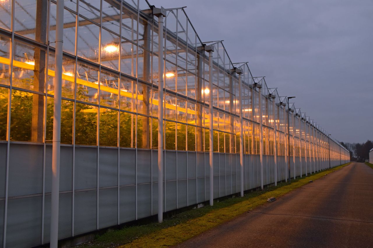 Energiekosten glastuinder