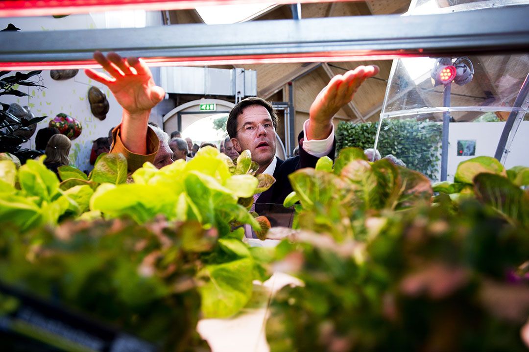 Mark Rutte in 2012 op de Floriade in Venlo. - Foto: ANP