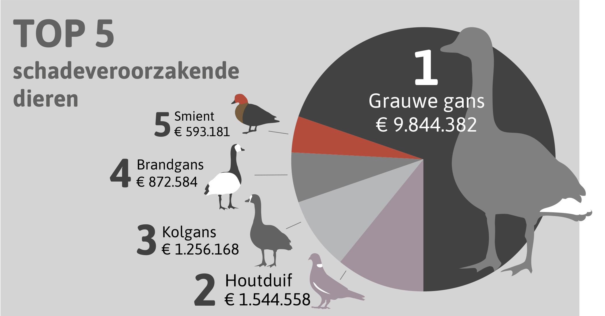 Bron: BIJ12