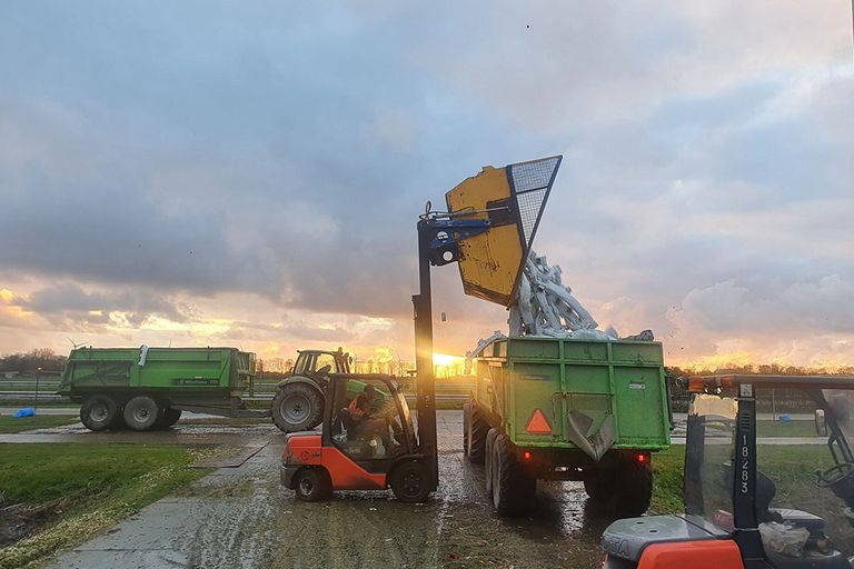 Gewasruimen aan het einde van dit seizoen, waarna het reinigen van de kas en karren plaatsvindt voor hygiëne. - Foto: Misset