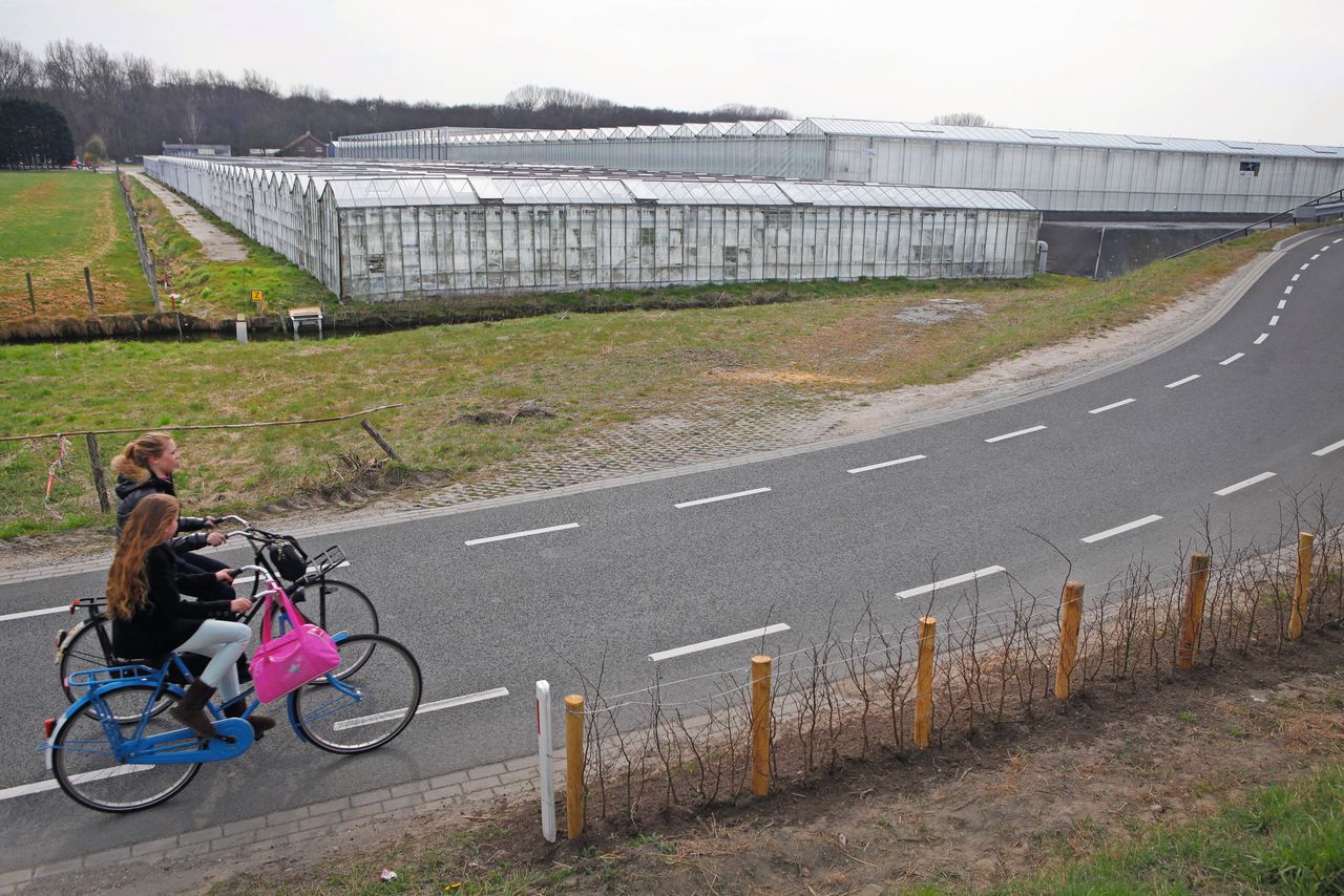 Herstructeringsopgave in Westland is het grootst. Foto's: Roel Dijkstra