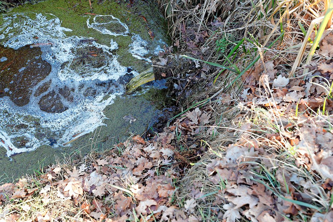 Peilgestuurde drainage. - Foto: Bert Jansen