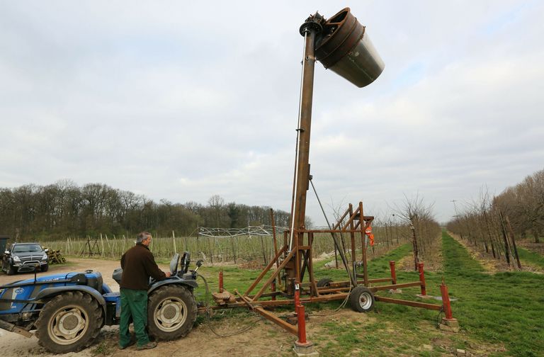 Zelden zo n krappe appeloogst, maar wat doet prijs?