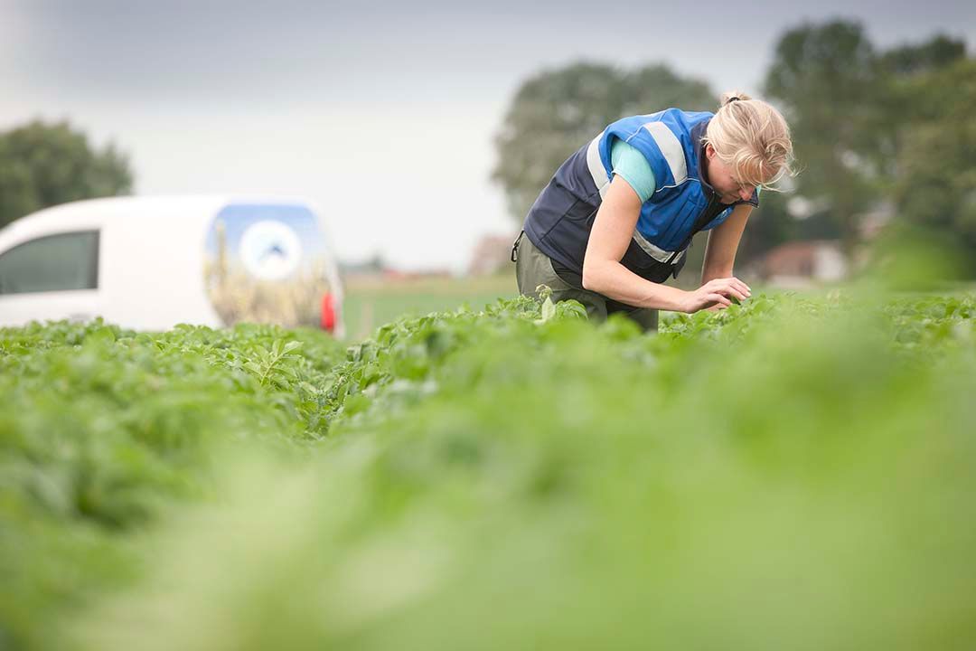 keuringsdiensten KCB Naktuinbouw