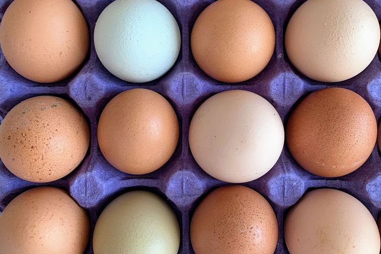 De prijsdaling op de eiermarkt zet zich voort. Foto: Canva