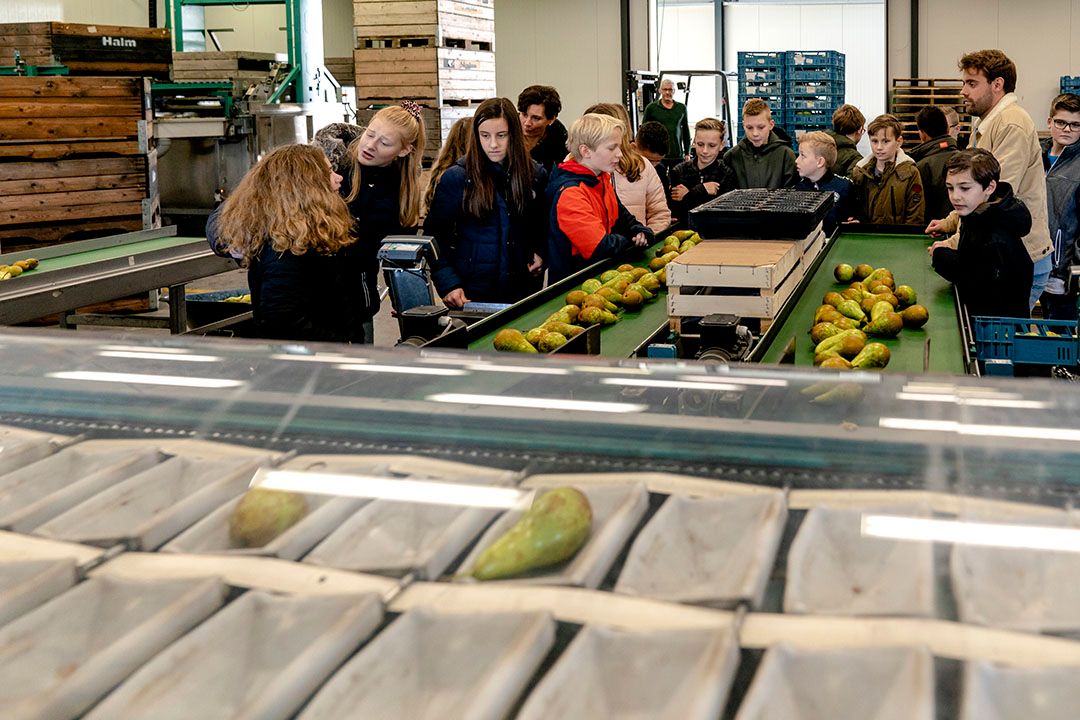 Schoolfruit is een van de preventieactiviteiten door de overheid. - Foto: ANP