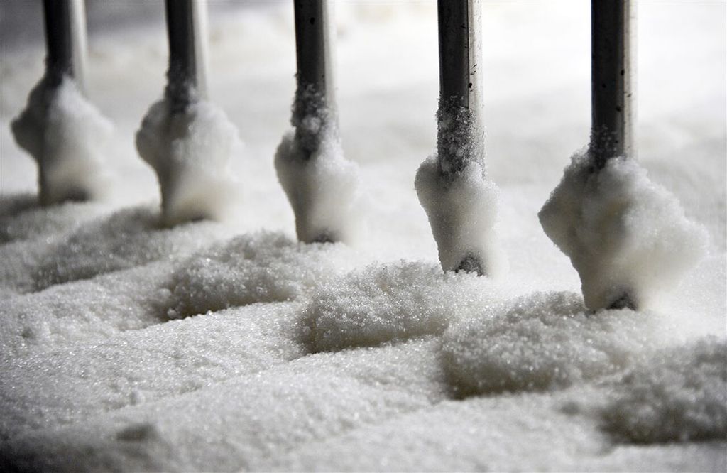 Productie van suiker uit suikerbieten bij de Franse fabrikant Tereos. - Foto: ANP