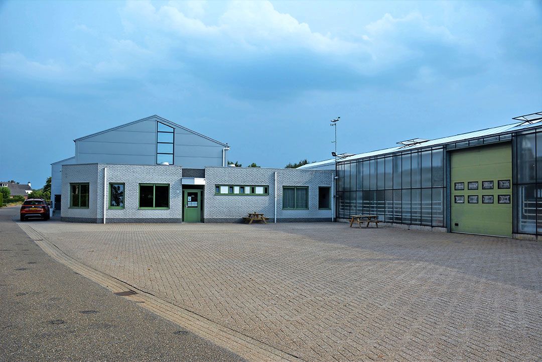Tuinders houden doorgaans van een strak en net erf. - Foto: Ank van Lier