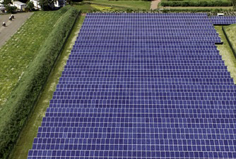 &apos;Teelt onder zonnepanelen lastig&apos;
