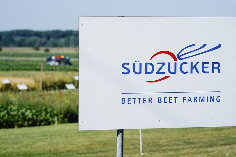 Südzucker is de grootste suikerproducent ter wereld. Foto: ANP