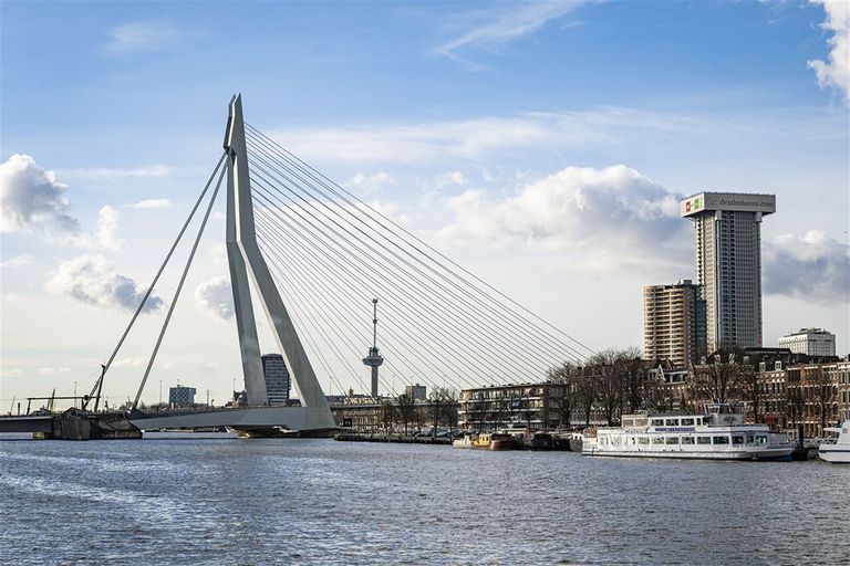 Doel van het Rotterdamse project is dat stedelingen zowel betaalbaar voedsel kunnen kopen, als een verduurzaming van de agrarische sector. Foto: ANP