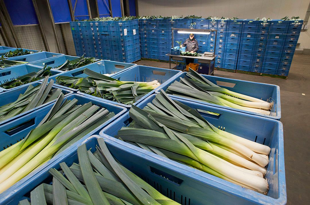 Vervangen gangbaar voor bio