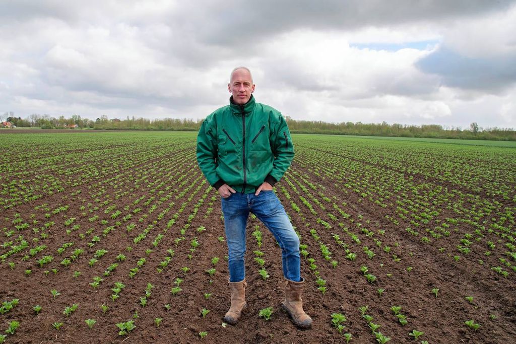 Veldbonenteler Boelo Tijdens