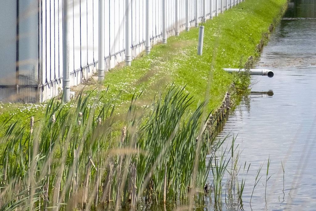 Glastuinbouw Nederland vindt dat de mate van controle afgestemd moet zijn op het behalen van het doel: goede waterkwaliteit. Foto: ANP / Hollandse Hoogte / Hans van Rhoon