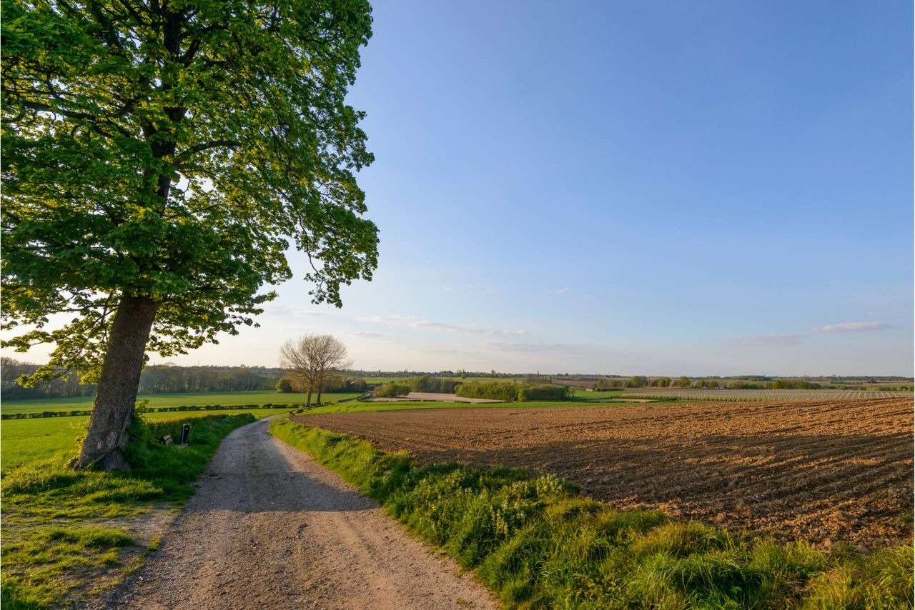 Het aandeel boeren en tuinders in de grondmobiliteit is het afgelopen decennium al fors afgenomen. Foto: Canva