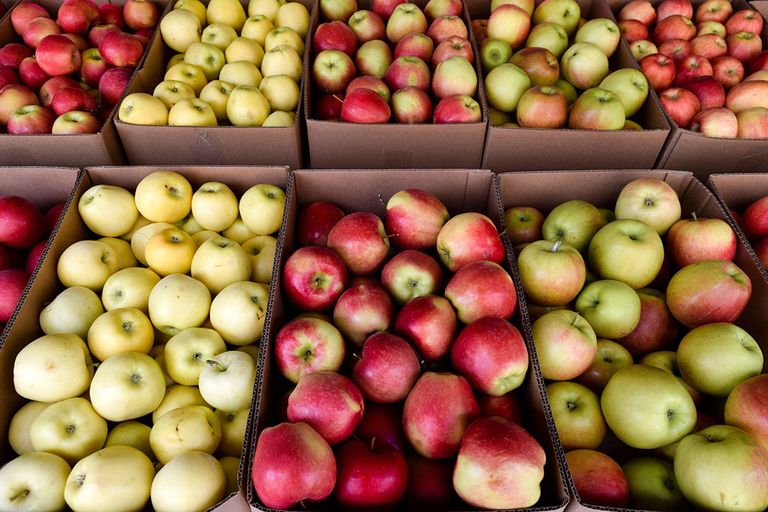 Biologische appels. De klachten over de krimpende biologische markt spreiden zich uit, ook richting de groente- en fruitsector. Foto: Canva