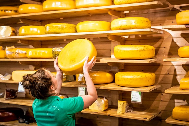 Kaas is een van de meest gegeten dierlijke producten, blijkt uit Europees onderzoek. Consumenten hebben een grote behoeft aan kaasvervangers. - Foto: ANP