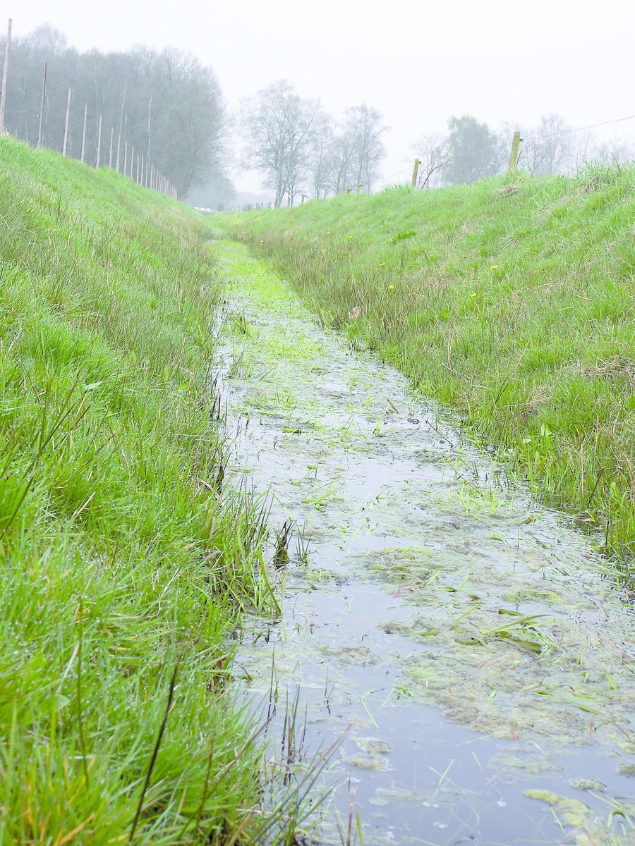 LTO Glaskracht: stop met lozen imidacloprid