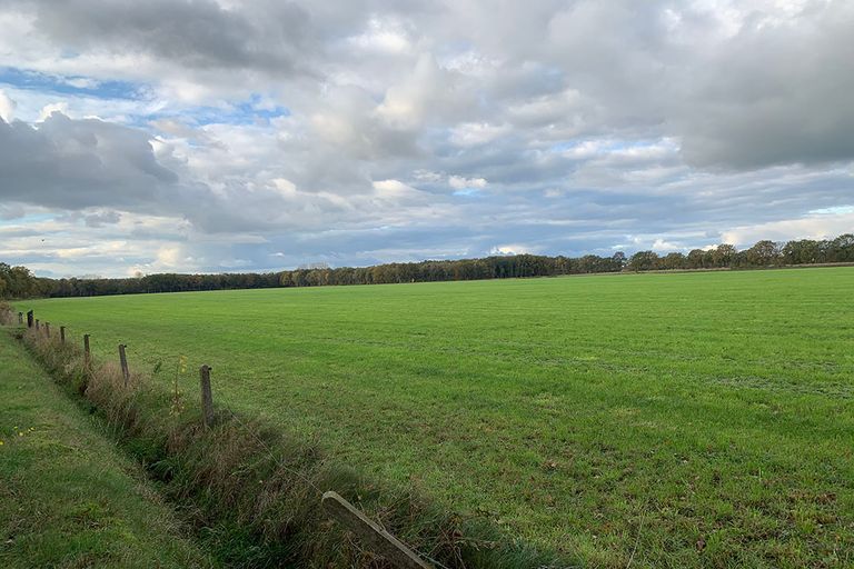 Foto: Misset -
