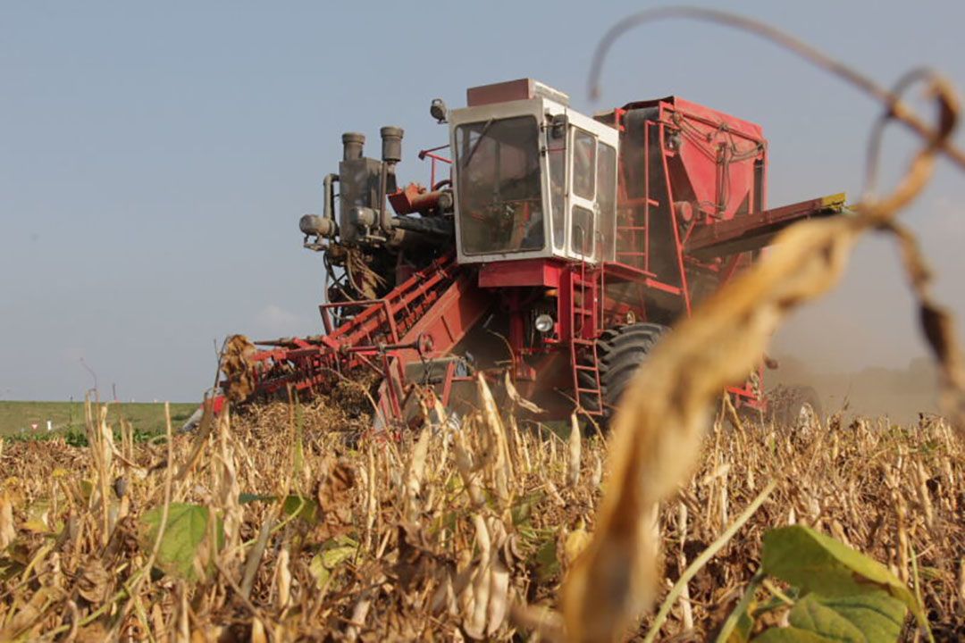 Minister: nieuwe impulsen plantaardige consumptie