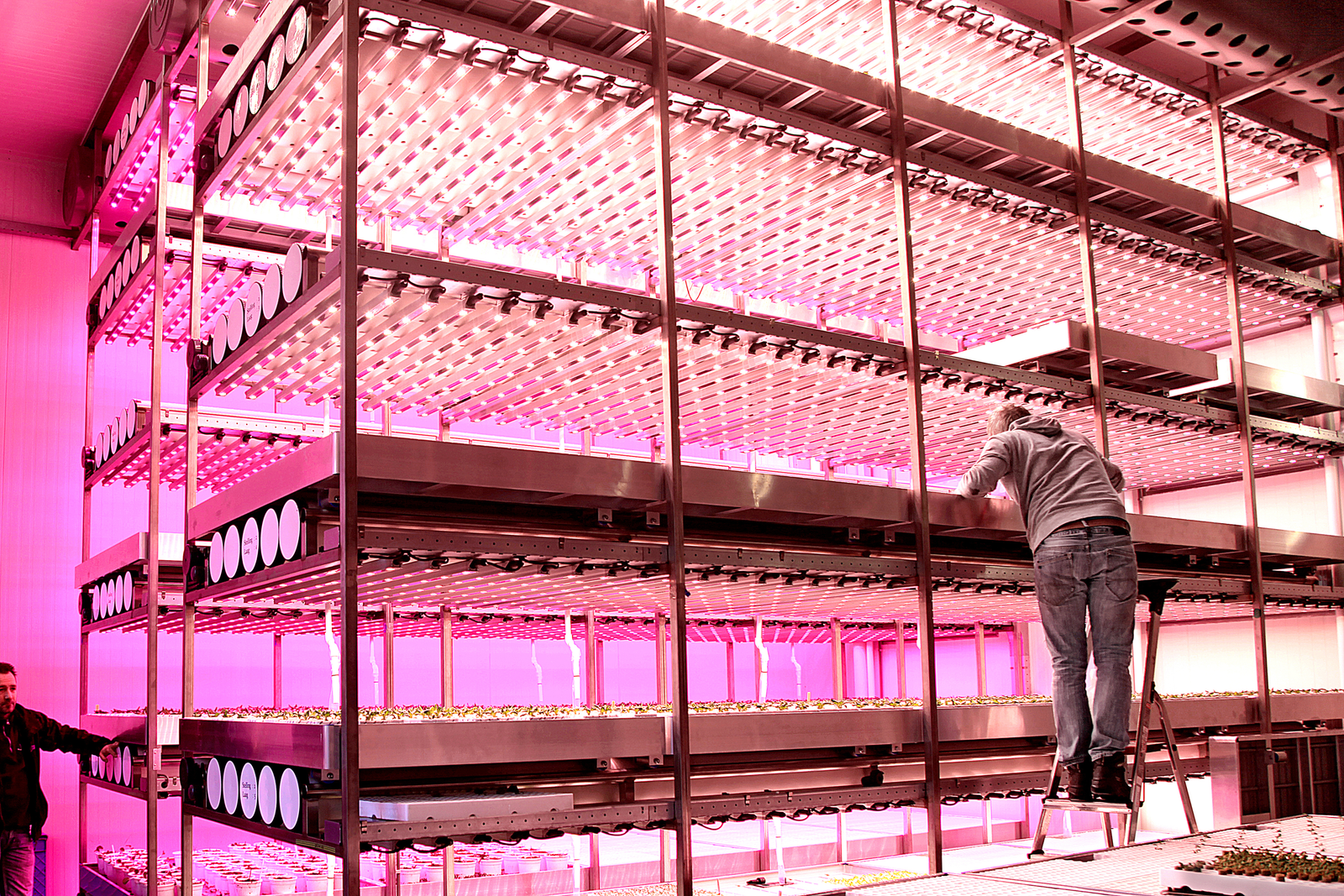 Grote innovaties - zoals daglichtloos telen dat bij Brightbox in Venlo wordt onderzocht - of kleine, allen kunnen een gooi doen naar POP-steun via de provincie.