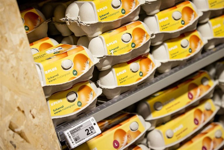 Omdat consumenten minder te besteden hebben, kiezen ze eerder voor scharreleieren dan eieren uit duurzame concepten. - Foto: ANP
