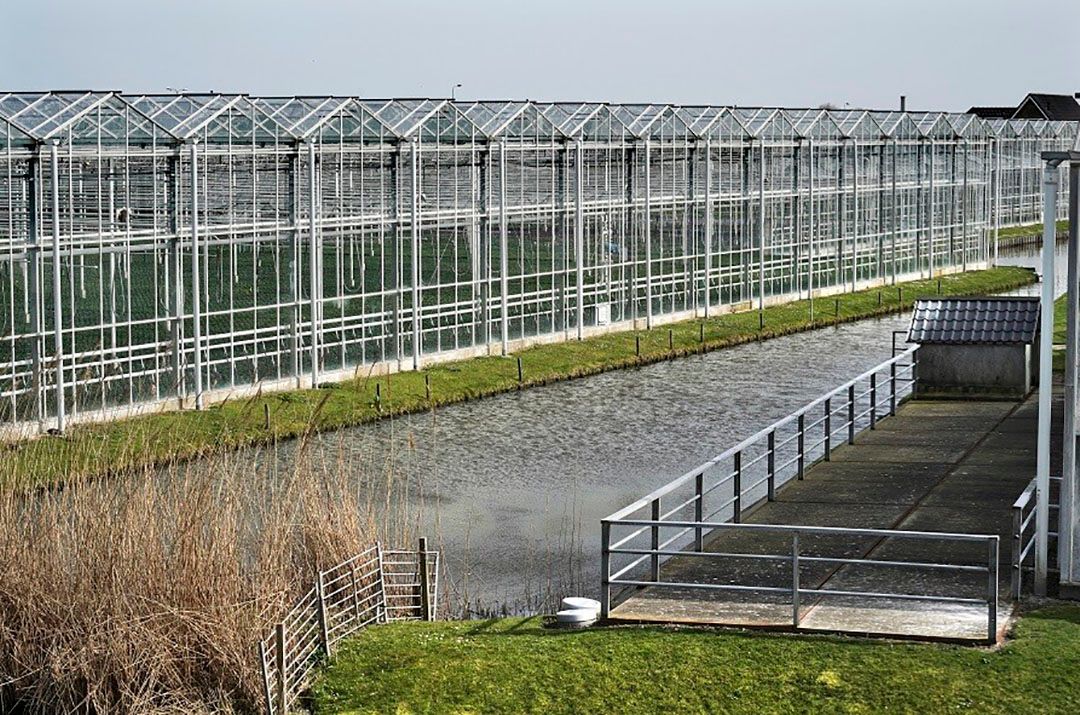 Het verlagen van energiebelasting en ODE op inkoop van elektriciteit is een optie om CO2-reductie in glastuinbouw te stimuleren. - Foto: ANP/ Hollandse Hoogte/ Flip Franssen