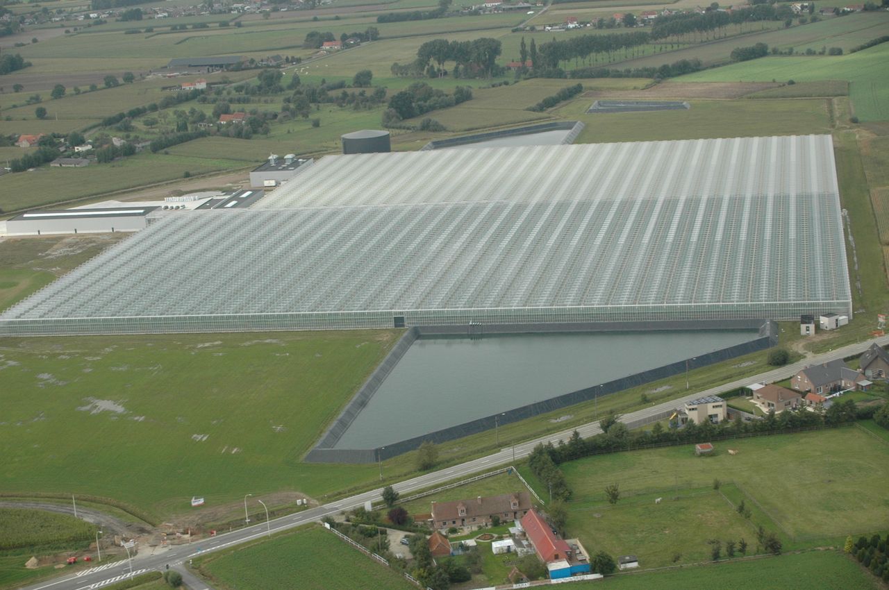 Tomato Masters breidt uit met jaarrond productie