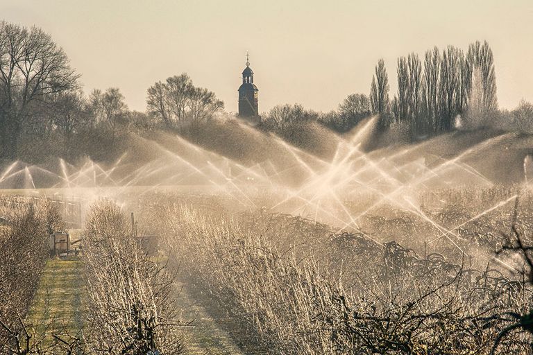 Foto: Frans Lemmens/ANP