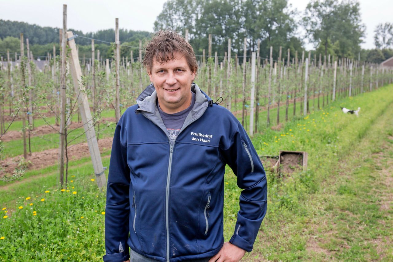 Bert den Haan, fruitteler in Kerk Avezaath, is een van de vier telers die aan die restappels door de coöperatie laten bewerken. Hij produceert per jaar 1 miljoen kilo appels, waarvan 60.000 tot 80.000 kilo in de categorie restfruit valt.