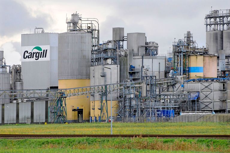 De fabriek van Cargill in Sas van Gent. Foto: ANP
