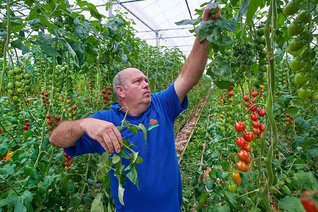 Foto: Van Assendelft Fotografie