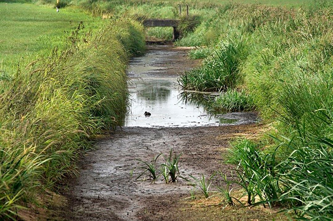 Foto: ANP/ Hollandse Hoogte/ Flip Franssen