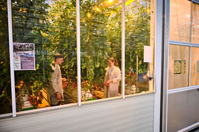 Praktijk nabootsen in de proefkassen van Vertify in het World Horti Center die MBO Lentiz gebruikt. Foto: Fred Libochant