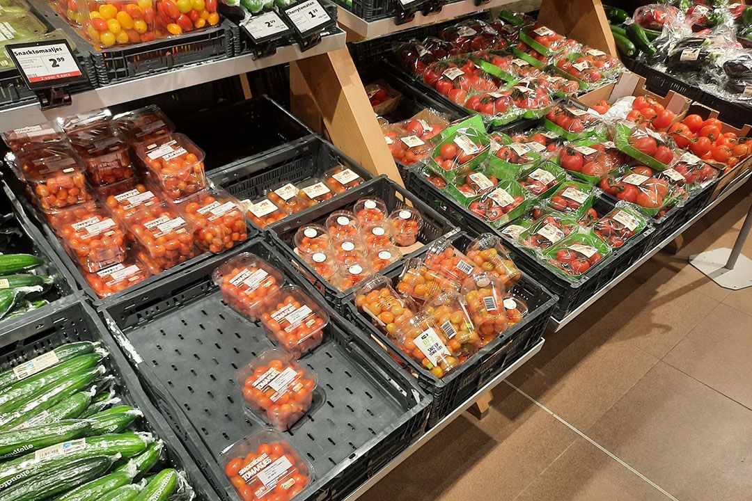 nieuwe oogst tomaten