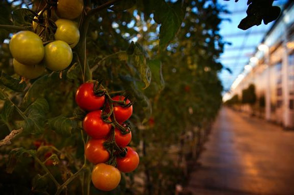 Warmteplan: Maak warmte goedkoper dan gas