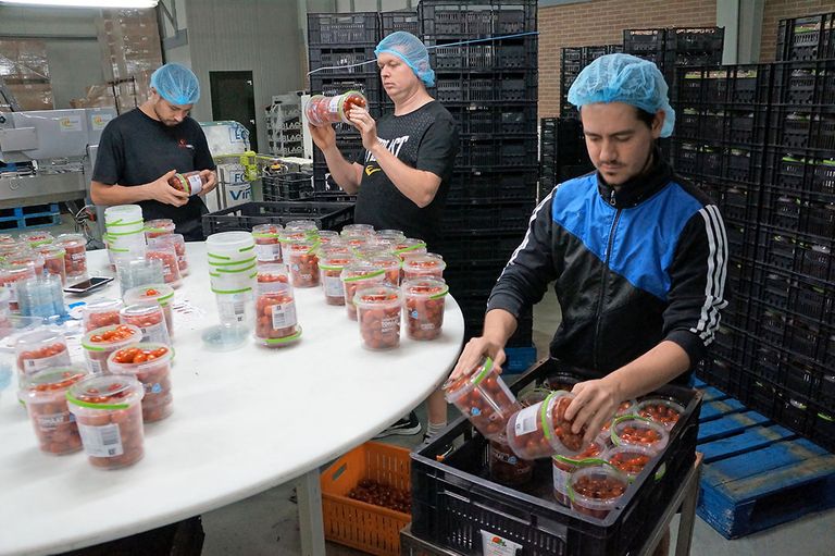 Veel telers werken al intensief samen met supermarkten. Dat moet uitbreiden komende jaren. Foto: Gerard Boonekamp.