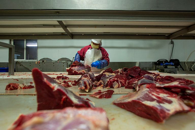 In de VS zijn de rundveeslachtingen in de afgelopen tijd gedaald tot bijna 50% onder het niveau in dezelfde tijd vorig jaar. Foto: ANP