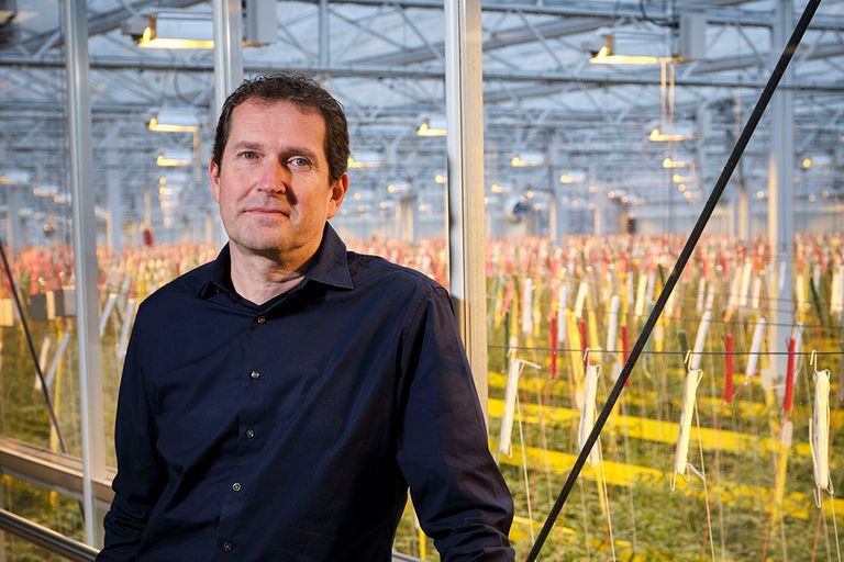 Joost van Regteren (50) is hoofd marktontwikkeling en managing director bij Bayer Vegetable Seeds. - Foto: Roel Dijkstra Fotografie / Fred Libochant