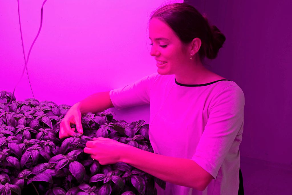 Lisanne Meulendijks in een van de testcellen van de Vertical Farm. Foto: Delphy