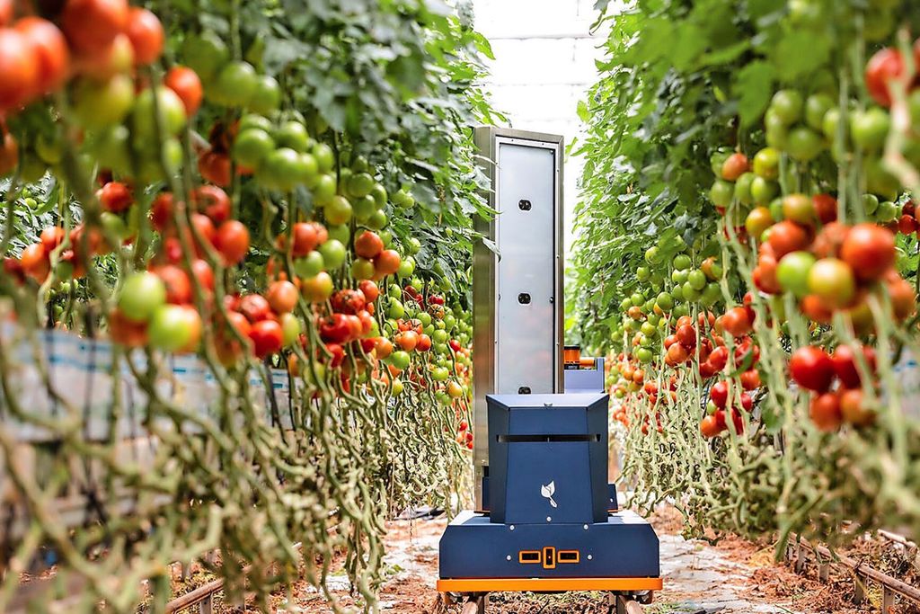 De oogstprognoserobot maakt foto's in het gewas. foto: Brinkman