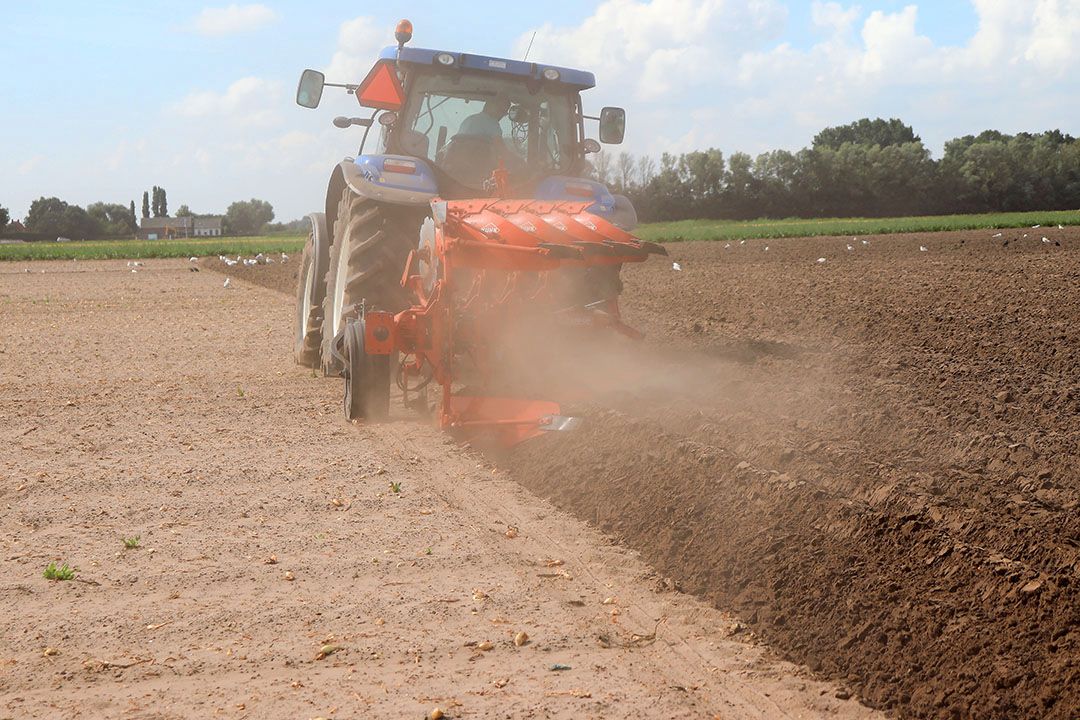 Droogte 2022 Vlaanderen