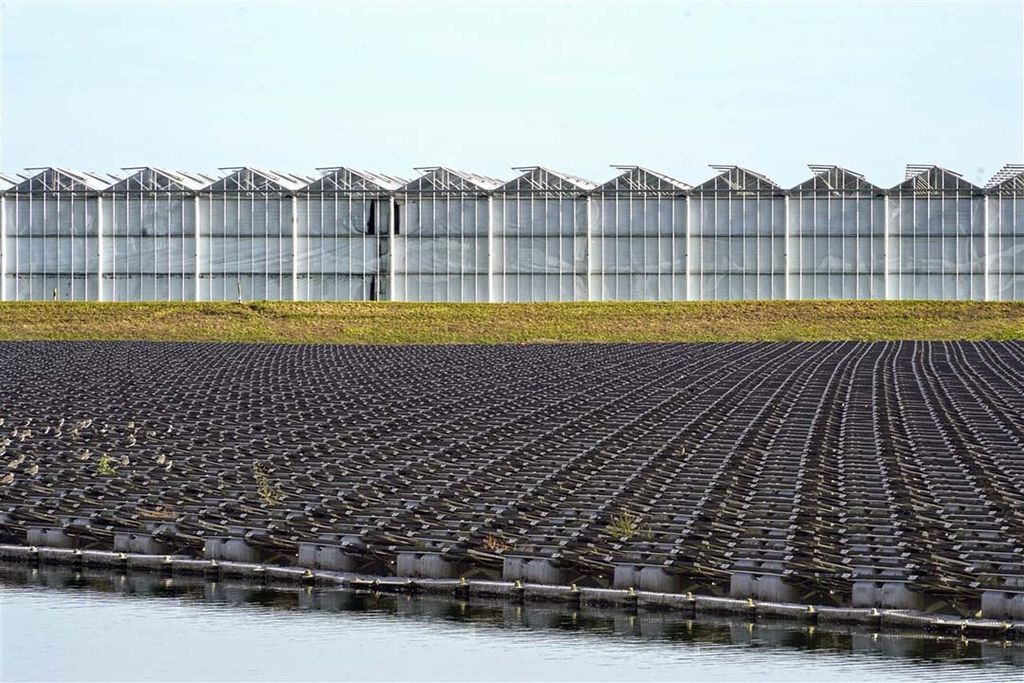 Glastuinbouwgebied NEXTgarden heeft al een drijvend zonnepark en krijgt nog meer zonnepanelen. Daarvan wordt de energie straks opgeslagen. - Foto: ANP