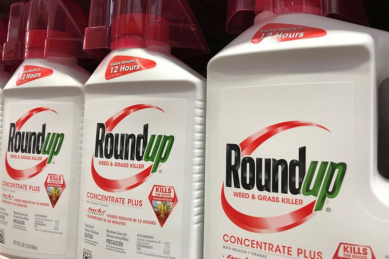 Een commissie van wetenschappers moet zich buiten over de bepaling of glyfosaat, dat in Roundup zit, kankerverwekkend is. - Foto: Reuters