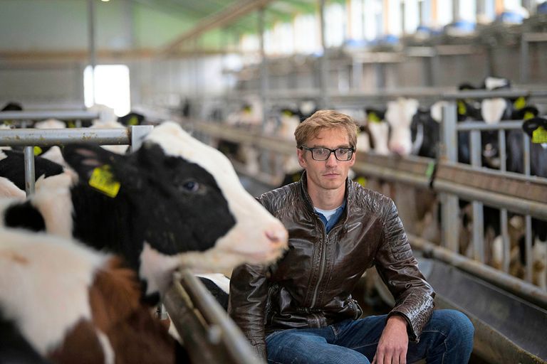 Piet Wisse (32) heeft samen met zijn vrouw Heide (33) in vof in Wouterswoude (Fr.) een vleeskalverbedrijf met 2.060 blanke kalveren. - Foto: Mark Pasveer