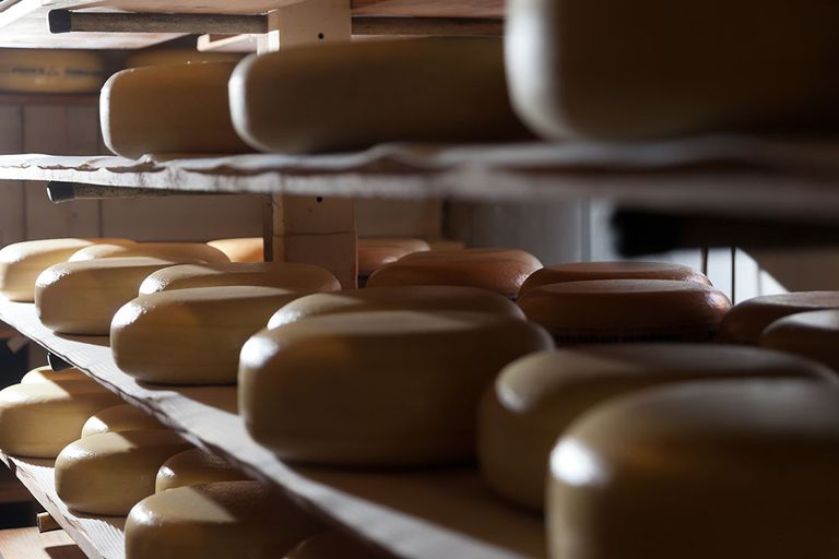 Het zuivelbedrijf heeft de afzet van kaas fors weten op te voeren, ook naar het buitenland waar nu geleverd wordt aan afnemers in 26 landen. Foto: Joris Telders